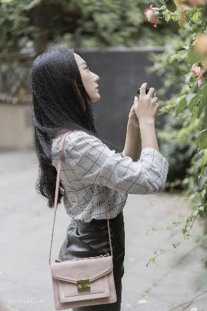 少年白马醉春风 电视剧