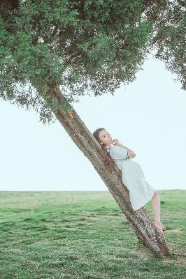 斗破苍穹年番在线观看免费观看完整版